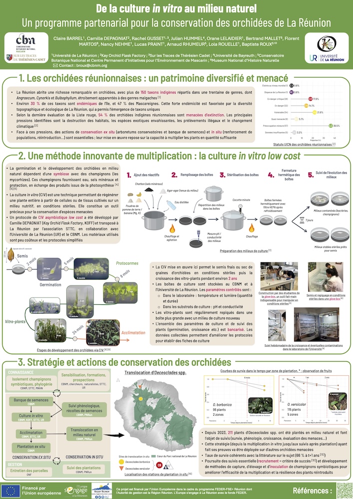 Poster scientifique - De la culture in vitro au milieu naturel Un programme partenarial pour la conservation des orchidées de La Réunion